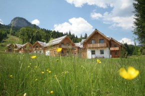 Гостиница AlpenParks Hagan Lodge Altaussee, Альтаусзее